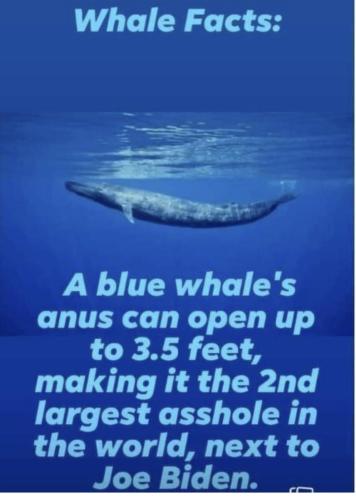 DF881680-2276-404C-9236-E4E44EBBF1F6