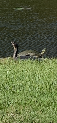 40AA23A4-2C97-45B7-B055-8F33DD4FE181