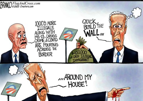 Capture+_2021-11-17-19-40-53(1)