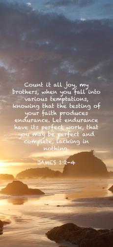 B4E57705-18B9-4F75-8663-3B37875559F2