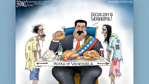 VENEZUELA SOCIALISM IS WONDERFUL