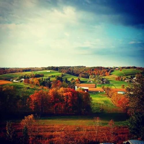 6904F41D-2D0E-40D5-9A7E-DEA8A0AFCF72