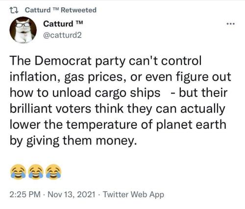 catturd-wisdom