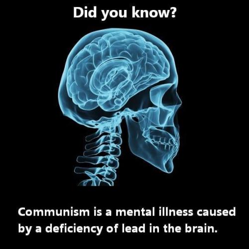 image_1636301183.973