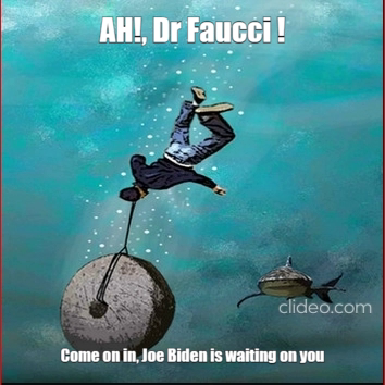 Fuacci 2