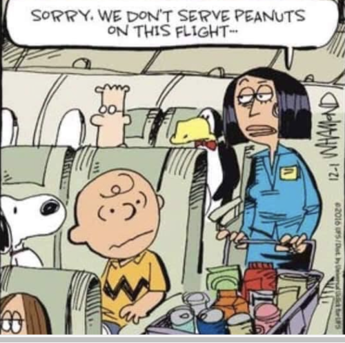 Screen Shot 2021-11-06 at 7.14.54 PM