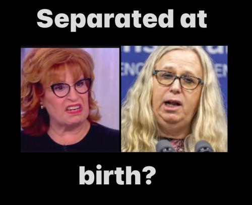 aabc591e-557d-4a01-9ef1-3bfa80b72f2e