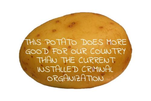 Potato 18112021045154