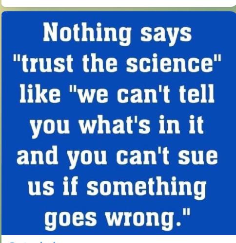 image_1636138017.451