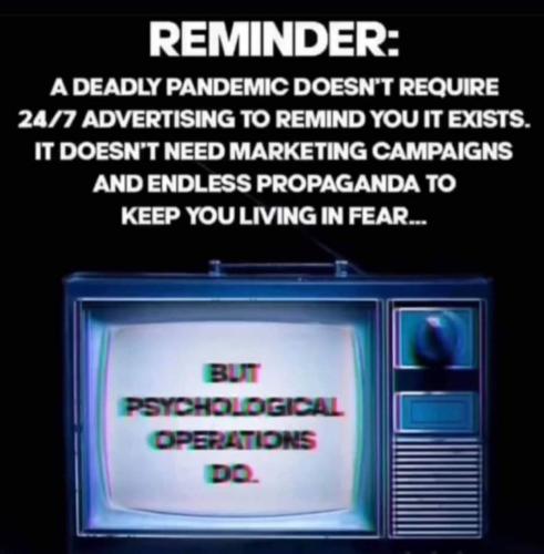 e8478877-4bd5-4c6d-9947-bc75664600f1