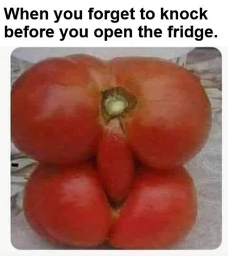 knock before you open the fridge