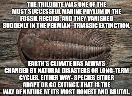 extinction
