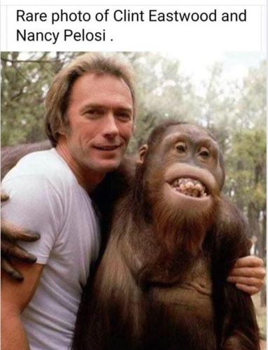 PELOSI+N+CLINT(1)