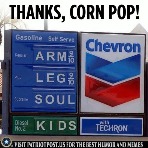 01FK3E2WCK6WSHXZAJZV3PF52N