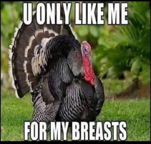 Thanksgiving - You only like me for my breasts