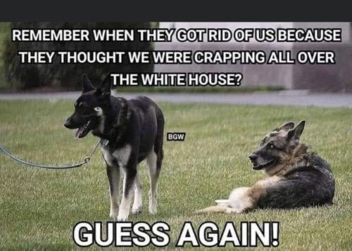 F5B2468D-2A3B-404B-82FD-065AB7C0C645