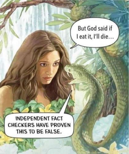 False and Misleading Information