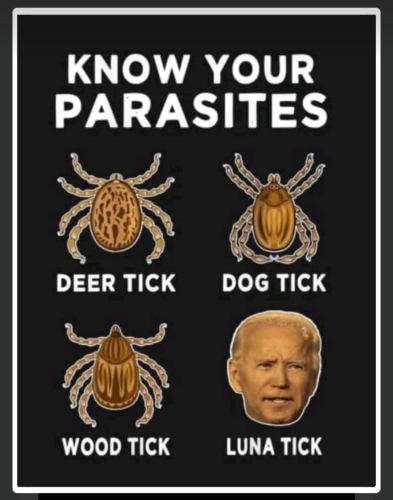 Screenshot_20211116-101956-886