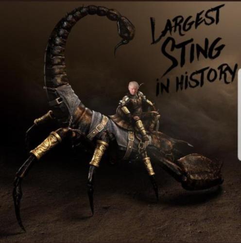 Screenshot_20211104-205513_Chrome