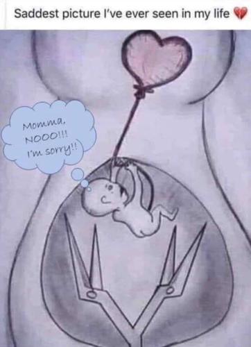 f7937e0bf7abc989d053c39554ca22ad_500x0