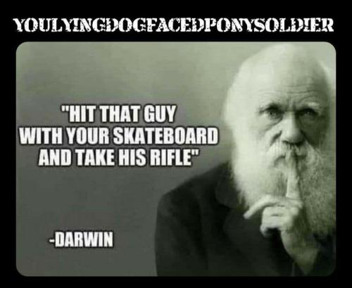 DarwinSkateboard1