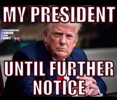 image_1637170665.429