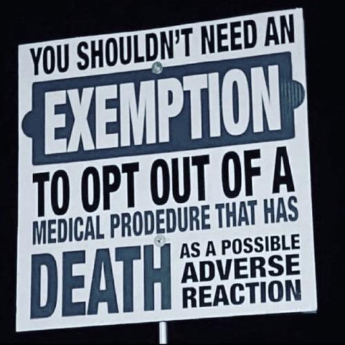 image_1636320844.641