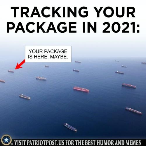 image_1635935583.554