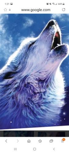 Screenshot_20210914-132109_Samsung Internet