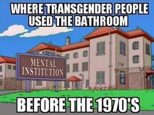 Pedo17