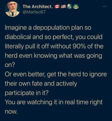 THE HERD