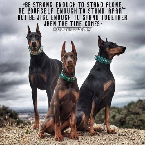 81706ff7-992d-4949-a4fb-e994e4f49b2b