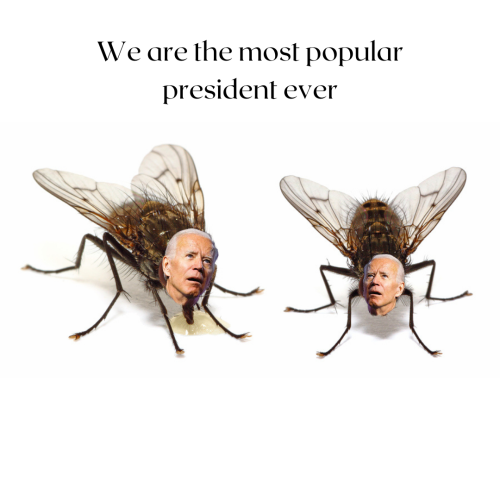 We most popular president ever