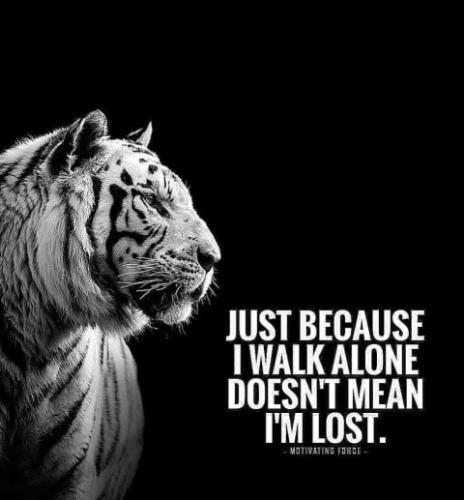 IMG_20211114_222226_716