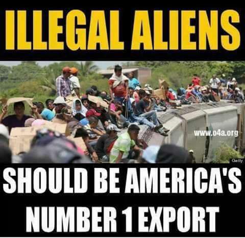 Illegals300