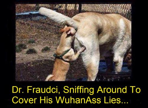 Dr. Fauci Sniffing Around Cover His WuhanAss