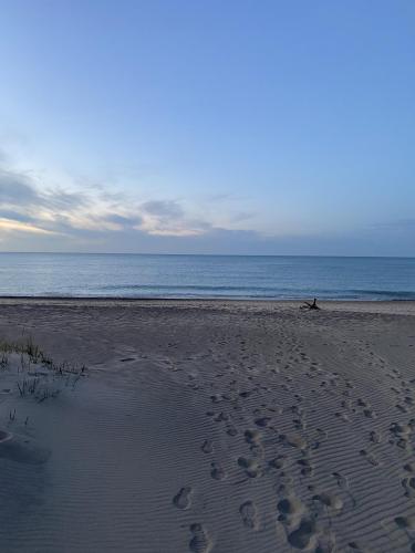 966EB167-9DAE-4519-B11F-DE5012A6EC7D