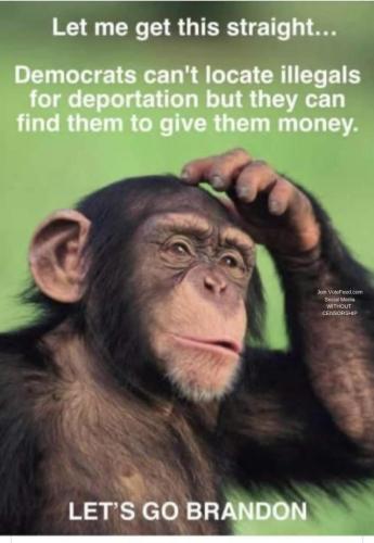 Let me get this straight