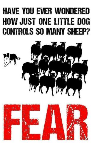 M fear