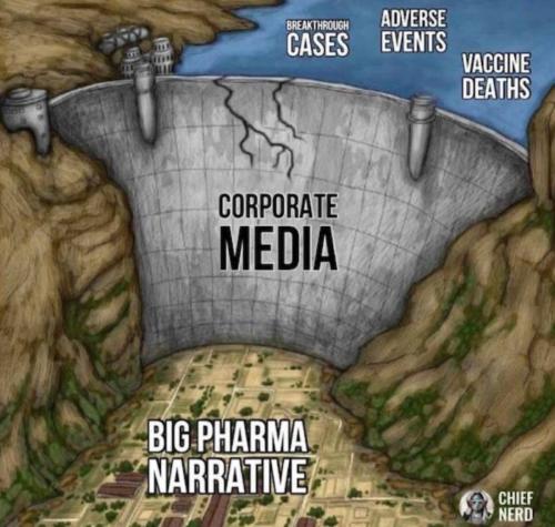 media