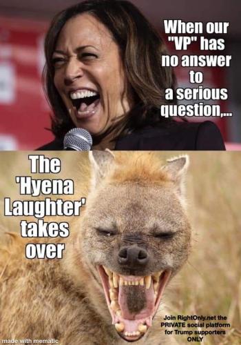 image_1637316040.205