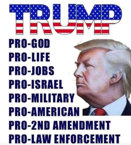 TRUMP3 (2)