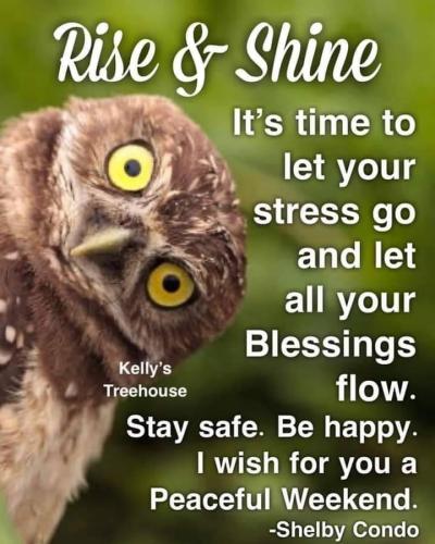 a0544b2a-408c-496e-929e-3a5fd2691d39