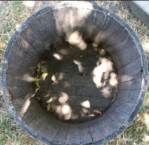 Screenshot_20211119-082205-966