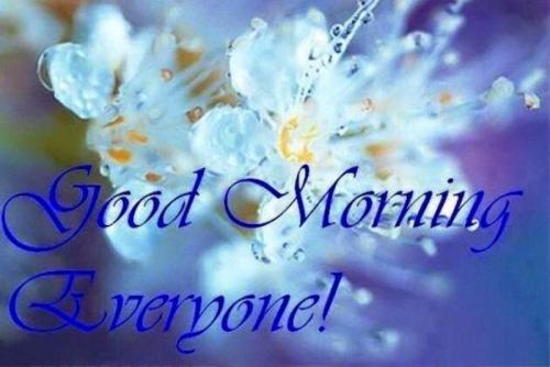 Pic-Of-Good-Morning-Everyone-1