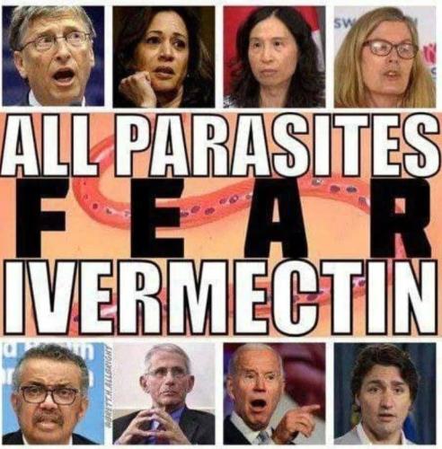 a02d89f405b70583dd595ea03442aa45_500x0