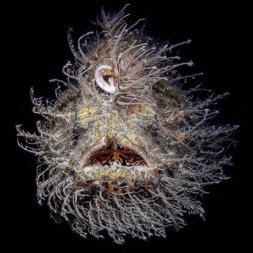 F4378B6F-F8DC-4F0D-8CF6-734E370F0CD5