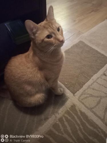 16359816545748125868332924326313