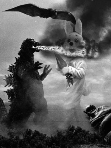 10151243_10202336263822094_8416254008567183840_n - Copy - Copy