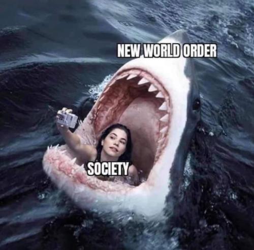 FB_IMG_1637628379969